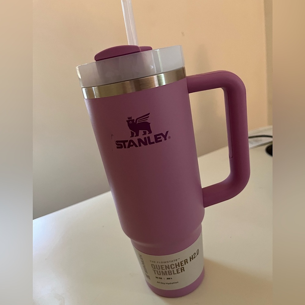 Stanley Quencher H2.0 Tumbler in Purple 30oz